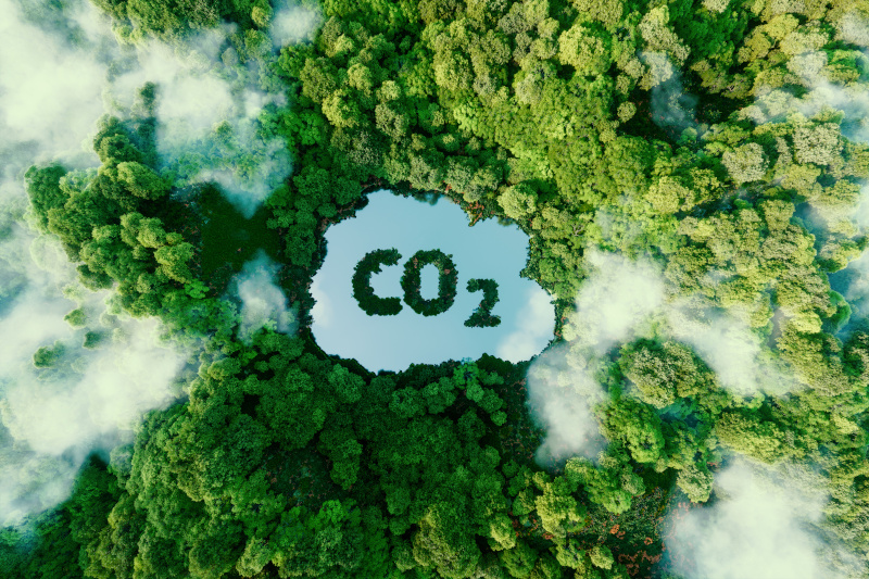 CO2 als Wort in einen Wald geschrieben.